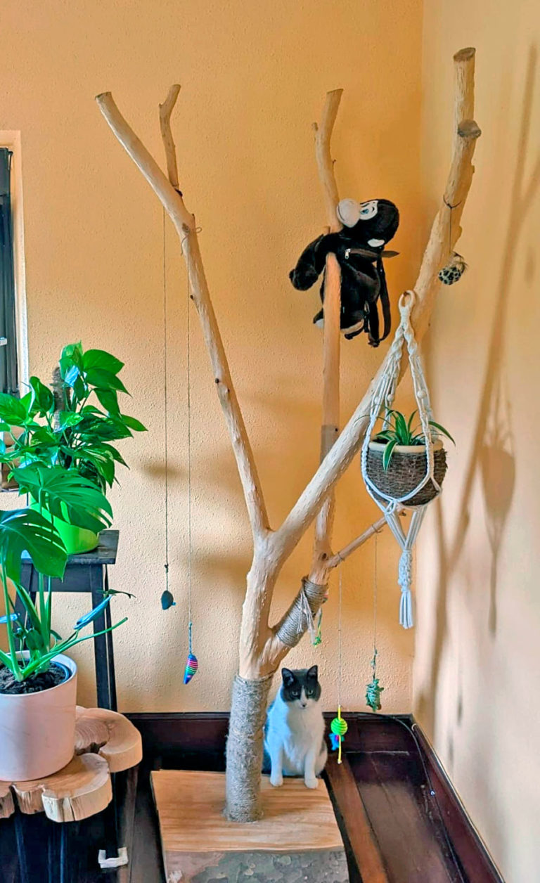 Arenero Gatos Autolimpiable Dibea U00c1rbol Rascador U00e1rbol